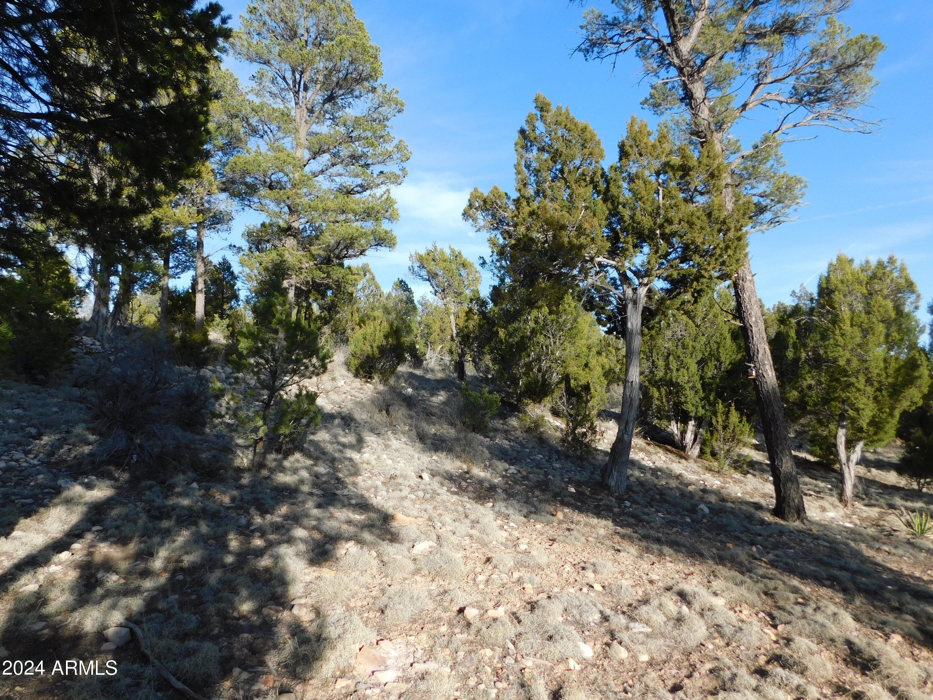 1932 Elk Road Heber, AZ 85928 - Photo 5 of 7 DSCN4831
