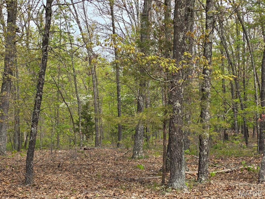 Tract R Greatview Lane Lebanon, MO 65536 - Photo 11 of 18