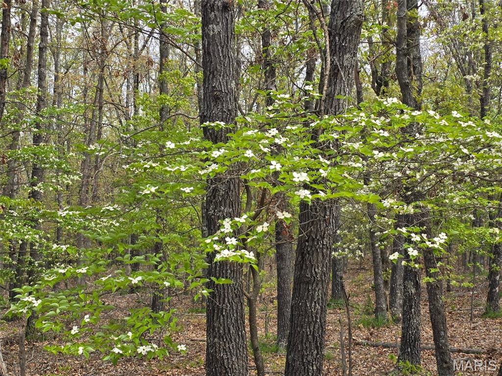Tract R Greatview Lane Lebanon, MO 65536 - Photo 12 of 18