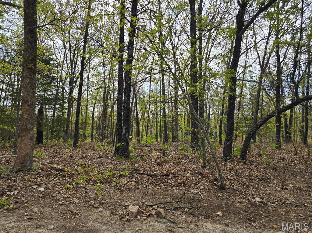 Tract R Greatview Lane Lebanon, MO 65536 - Photo 13 of 18