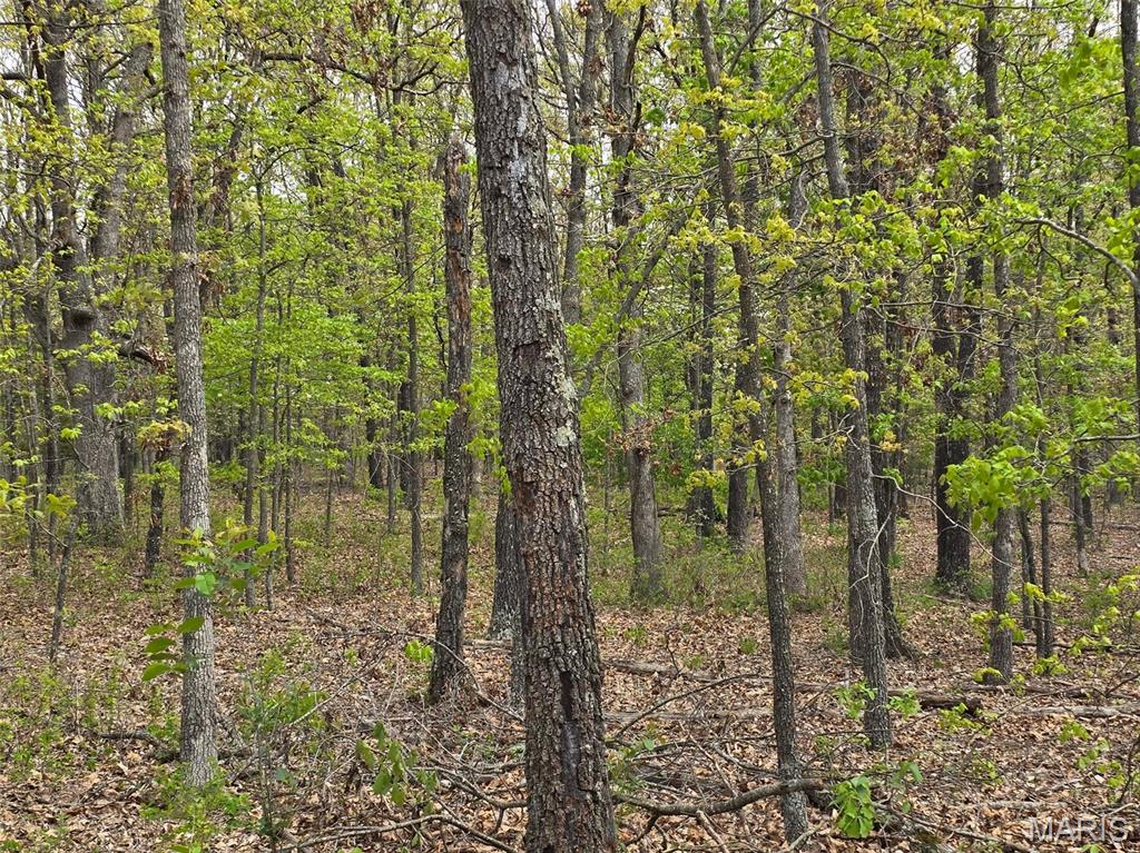 Tract R Greatview Lane Lebanon, MO 65536 - Photo 15 of 18