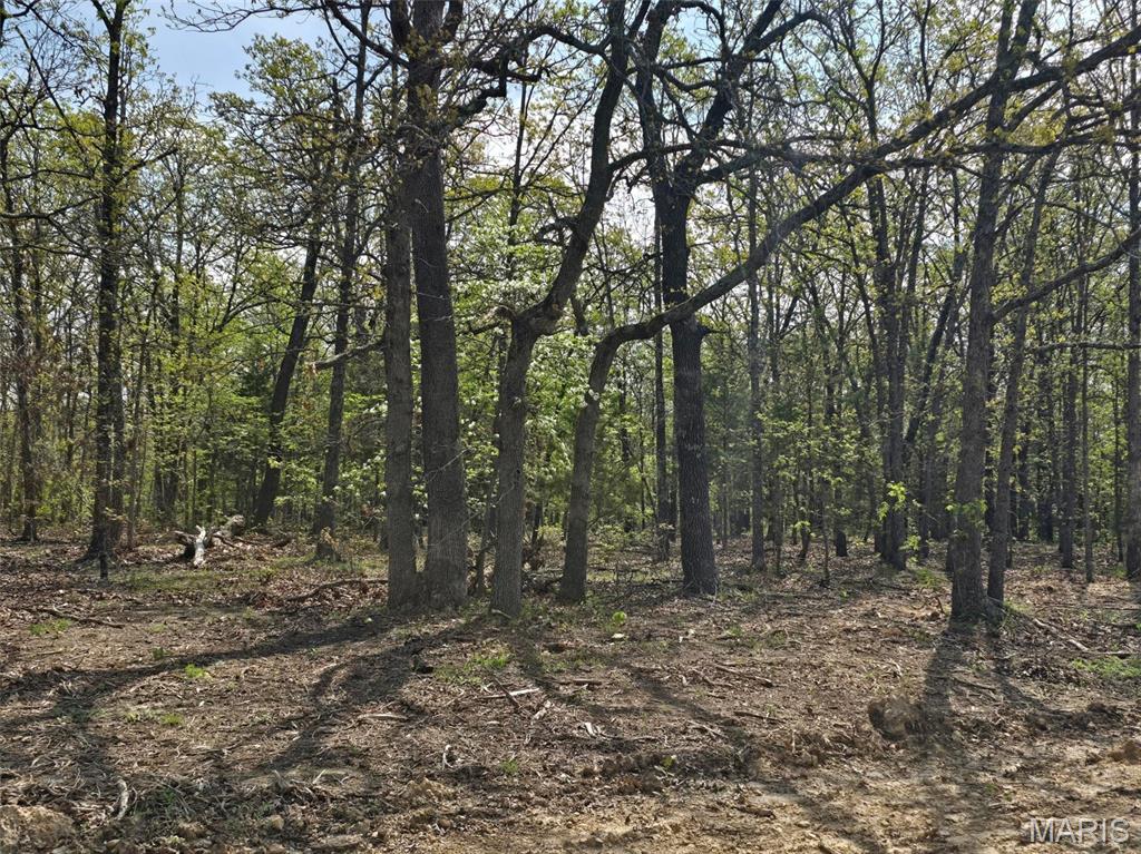 Tract R Greatview Lane Lebanon, MO 65536 - Photo 2 of 18