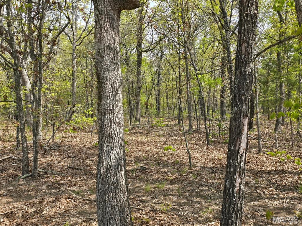 Tract R Greatview Lane Lebanon, MO 65536 - Photo 6 of 18