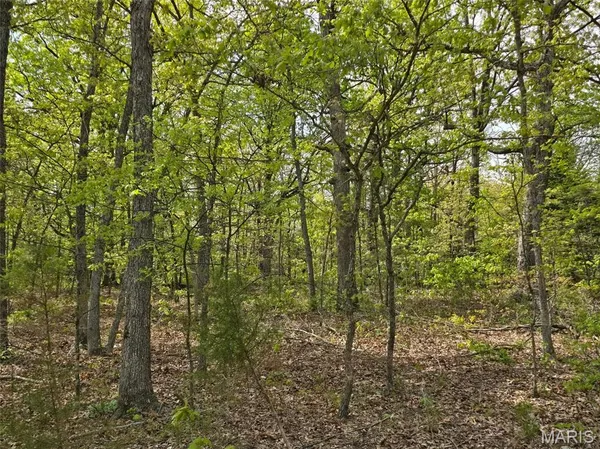 $120,000 | Tract R Greatview Lane, Lebanon, MO 65536