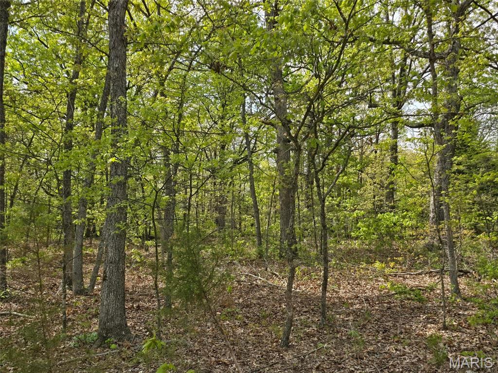 Tract R Greatview Lane Lebanon, MO 65536 - Photo 8 of 18