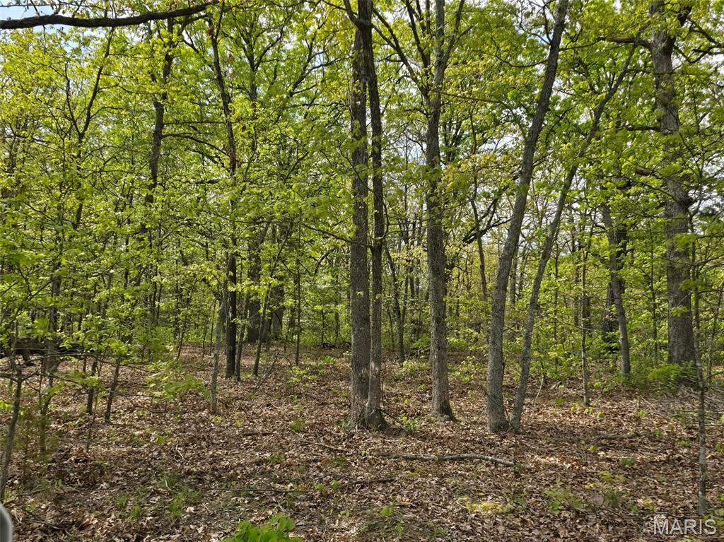 Tract R Greatview Lane Lebanon, MO 65536 - Photo 9 of 18