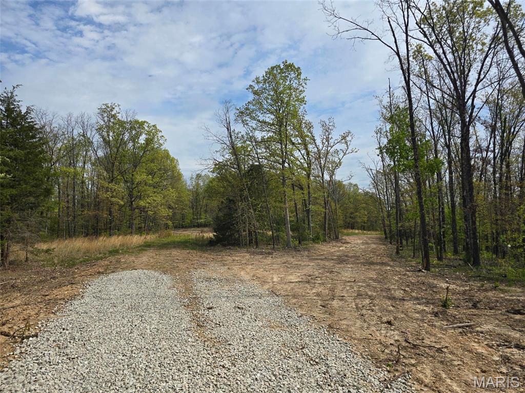 Tract R Greatview Lane Lebanon, MO 65536 - Photo 10 of 18