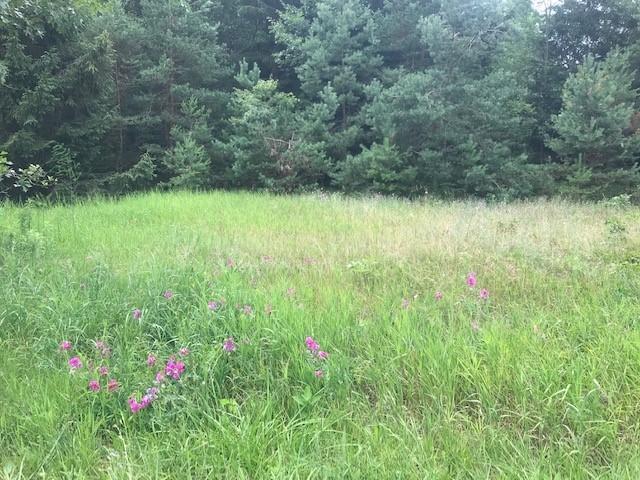 South Beaune Road Ludington, MI 49431 - Photo 3 of 11 2