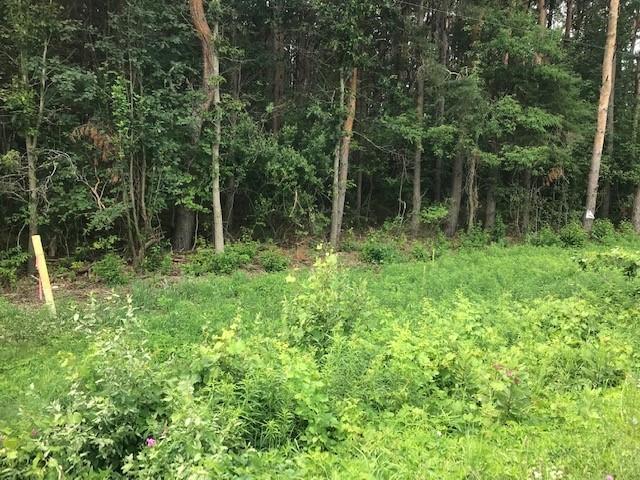 South Beaune Road Ludington, MI 49431 - Photo 7 of 11 8