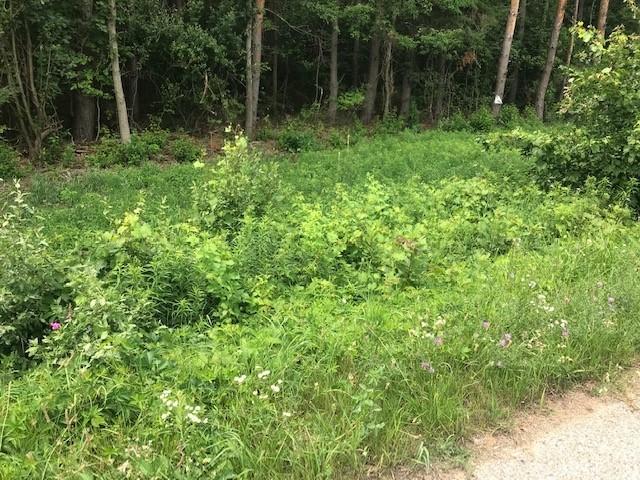 South Beaune Road Ludington, MI 49431 - Photo 8 of 11 9