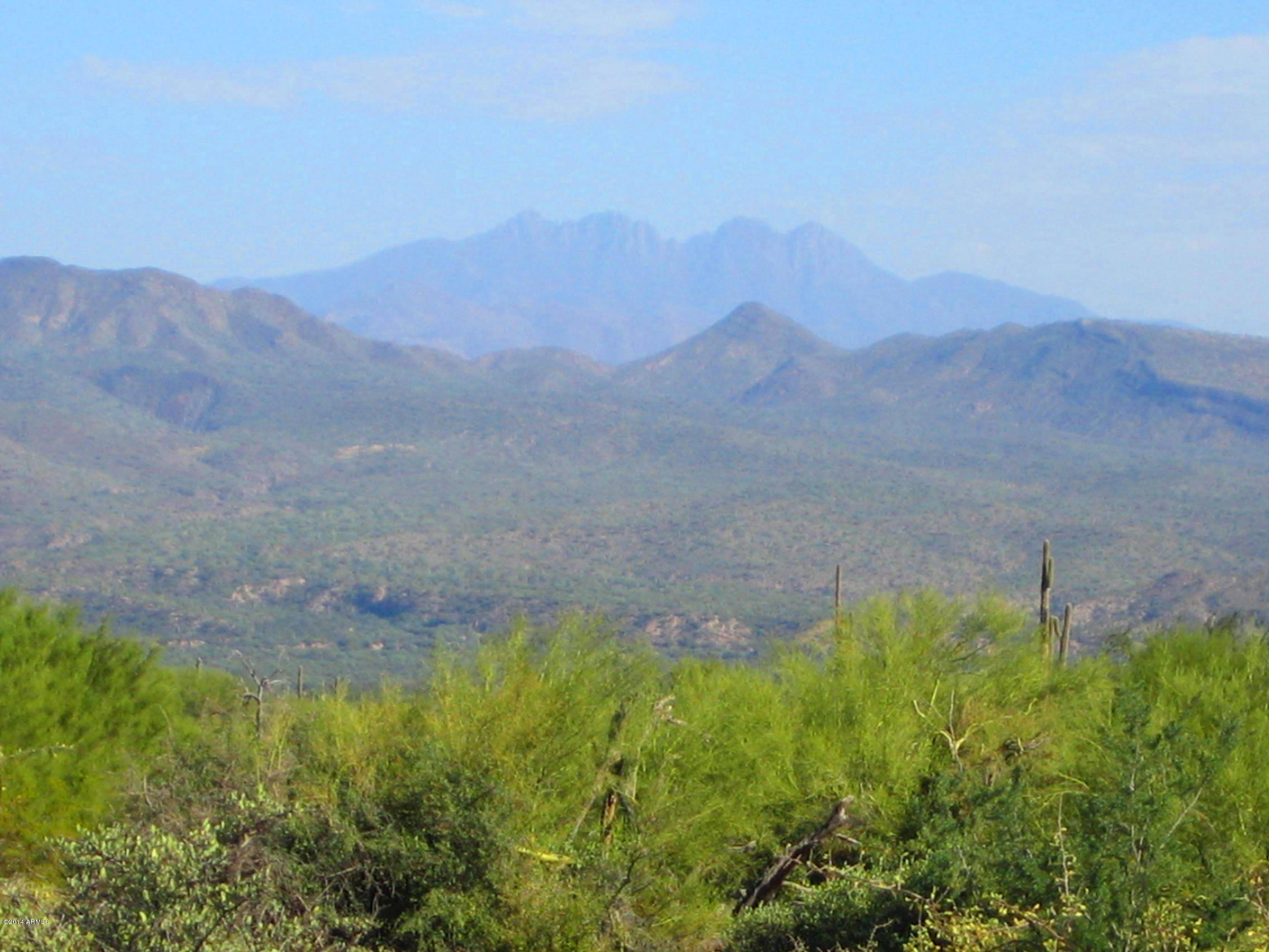 17502 East Barwick Road, Unit 1 Rio Verde, AZ 85263 - Photo 17 of 19 IMG_0016