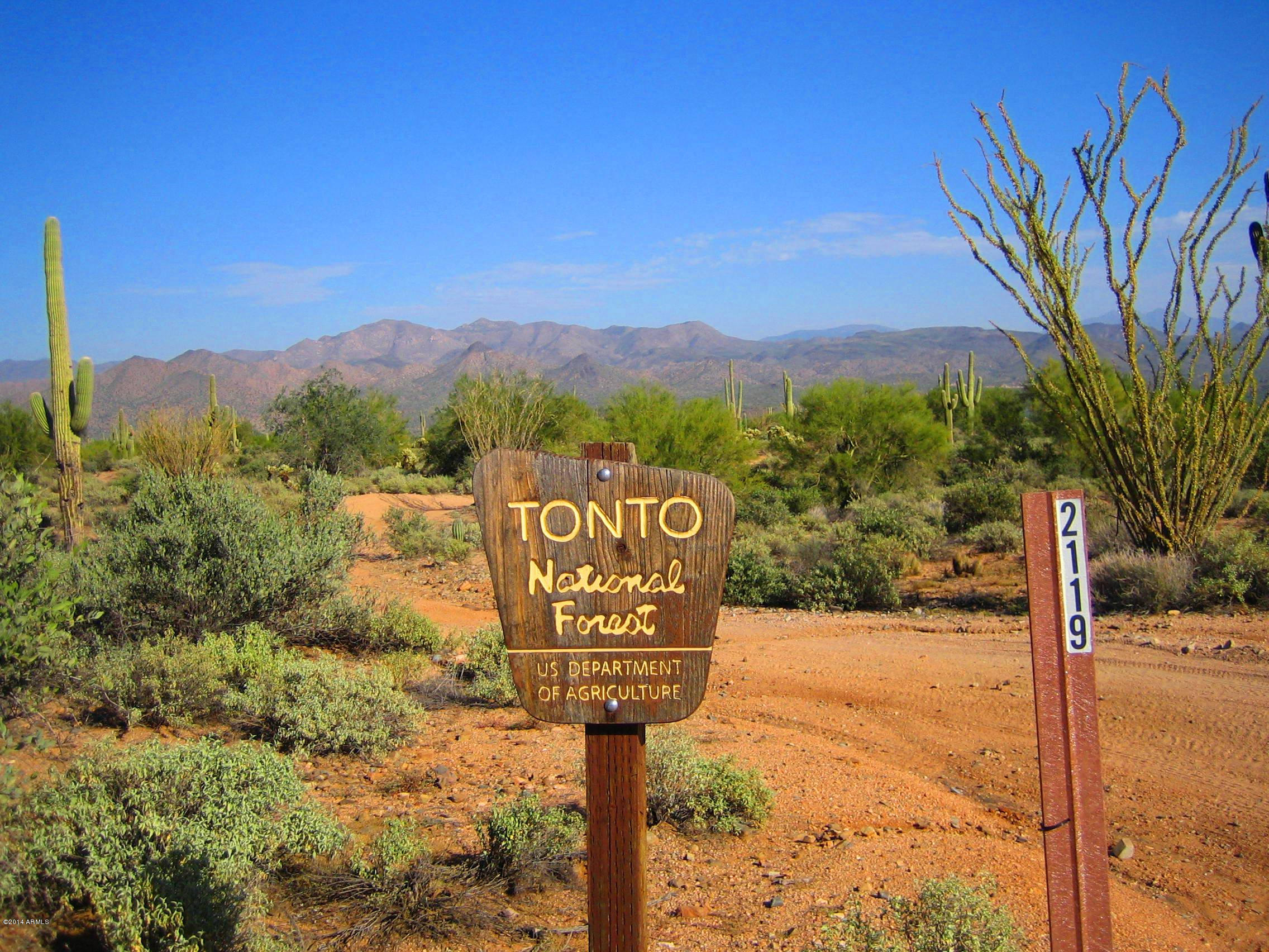 17502 East Barwick Road, Unit 1 Rio Verde, AZ 85263 - Photo 4 of 19 IMG_0021