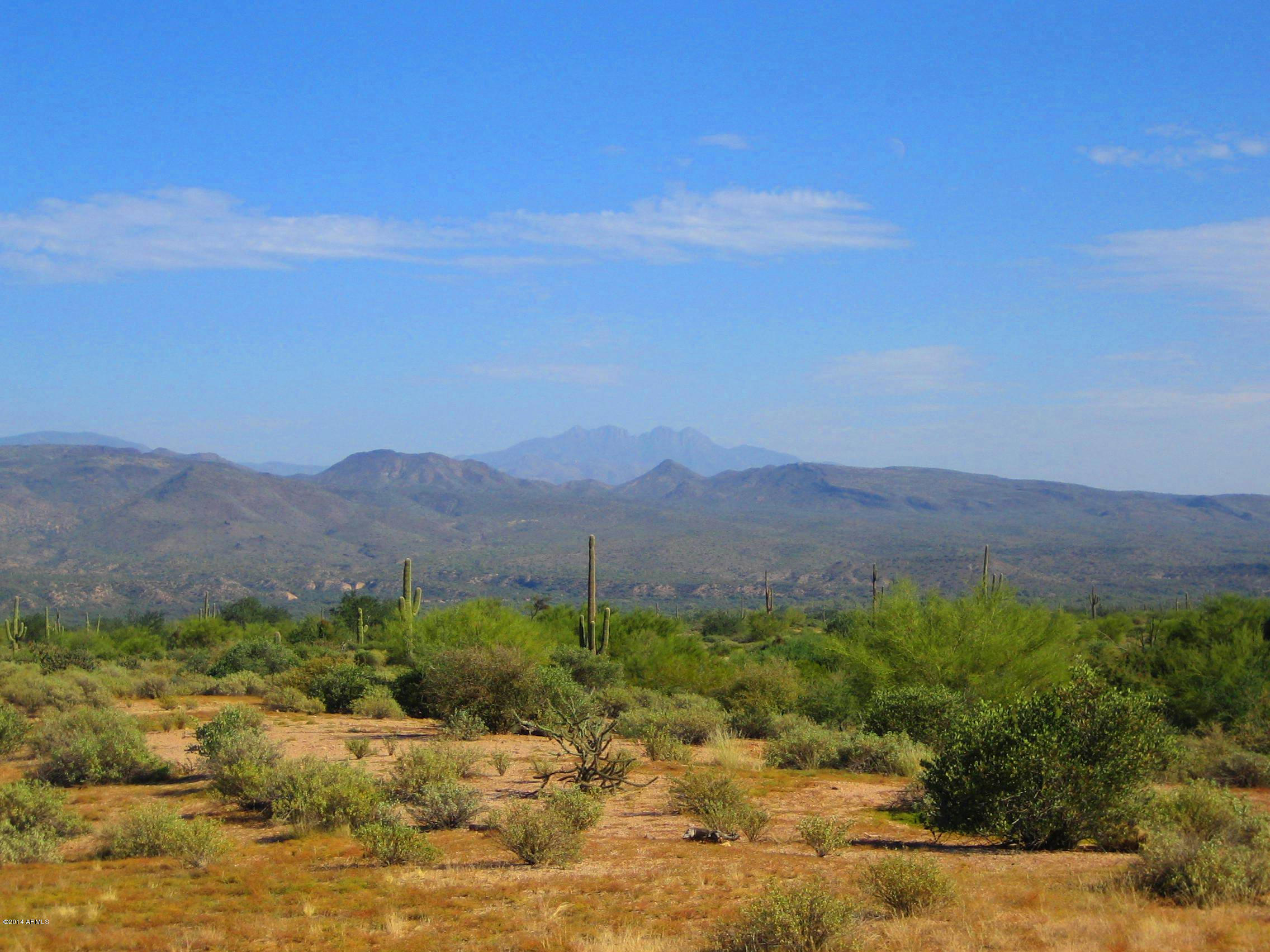 17502 East Barwick Road, Unit 1 Rio Verde, AZ 85263 - Photo 6 of 19 IMG_0001