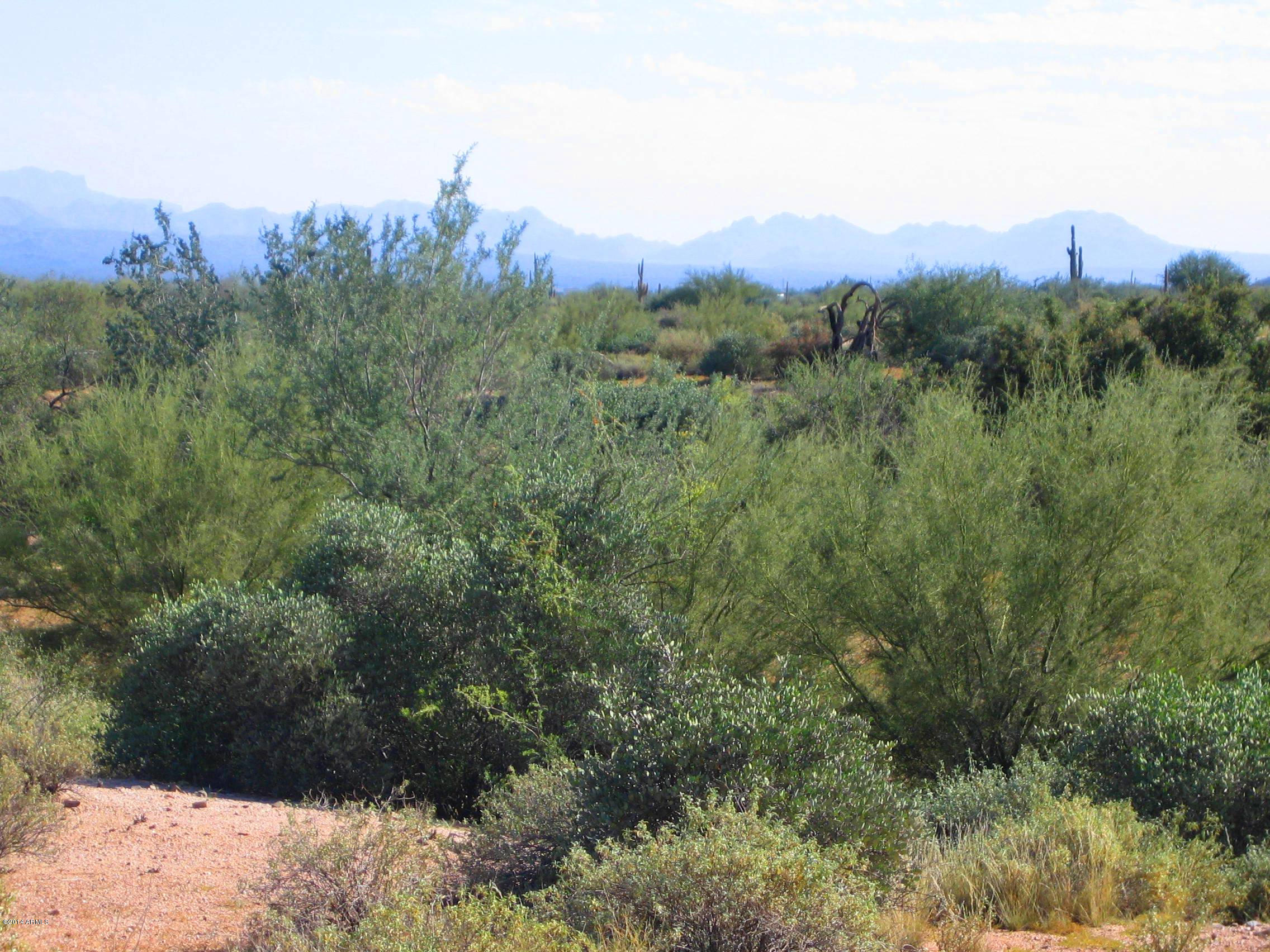 17502 East Barwick Road, Unit 1 Rio Verde, AZ 85263 - Photo 10 of 19 IMG_0005
