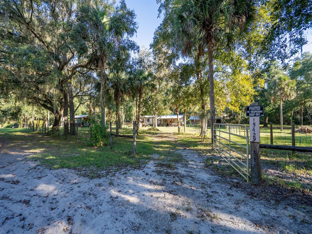 15429 Northeast 38th Court Citra, FL 32113 - Photo 3 of 53 a view of a park