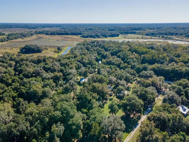a view of a forest from a yard
