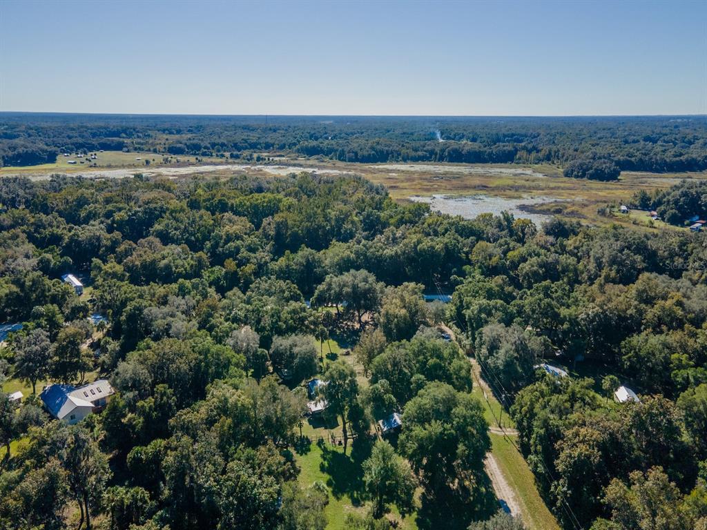 15429 Northeast 38th Court Citra, FL 32113 - Photo 47 of 53 a view of a forest from a yard