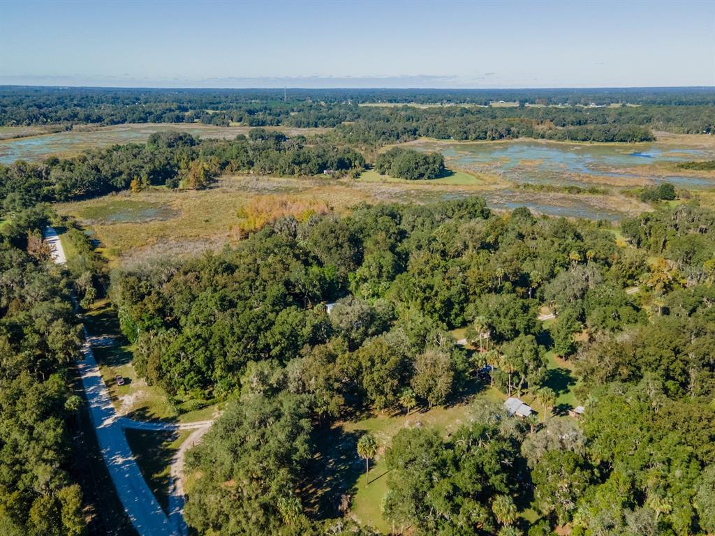 15429 Northeast 38th Court Citra, FL 32113 - Photo 49 of 53