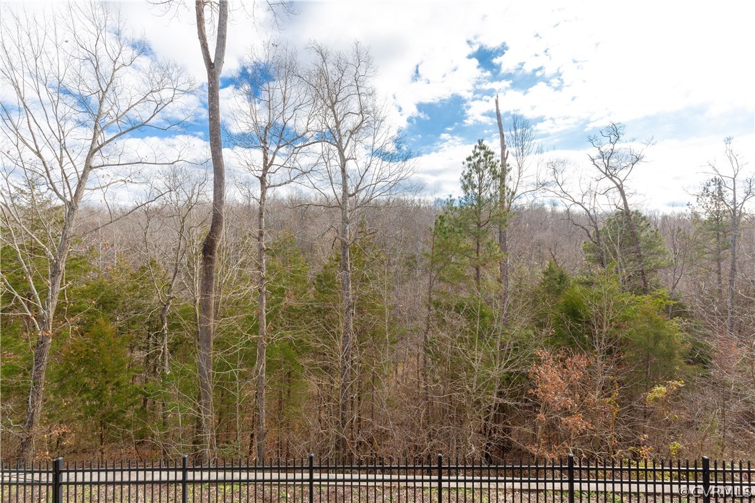 13335 Diamond Ridge Drive Midlothian, VA 23112 - Photo 43 of 45 Gallery Image 43