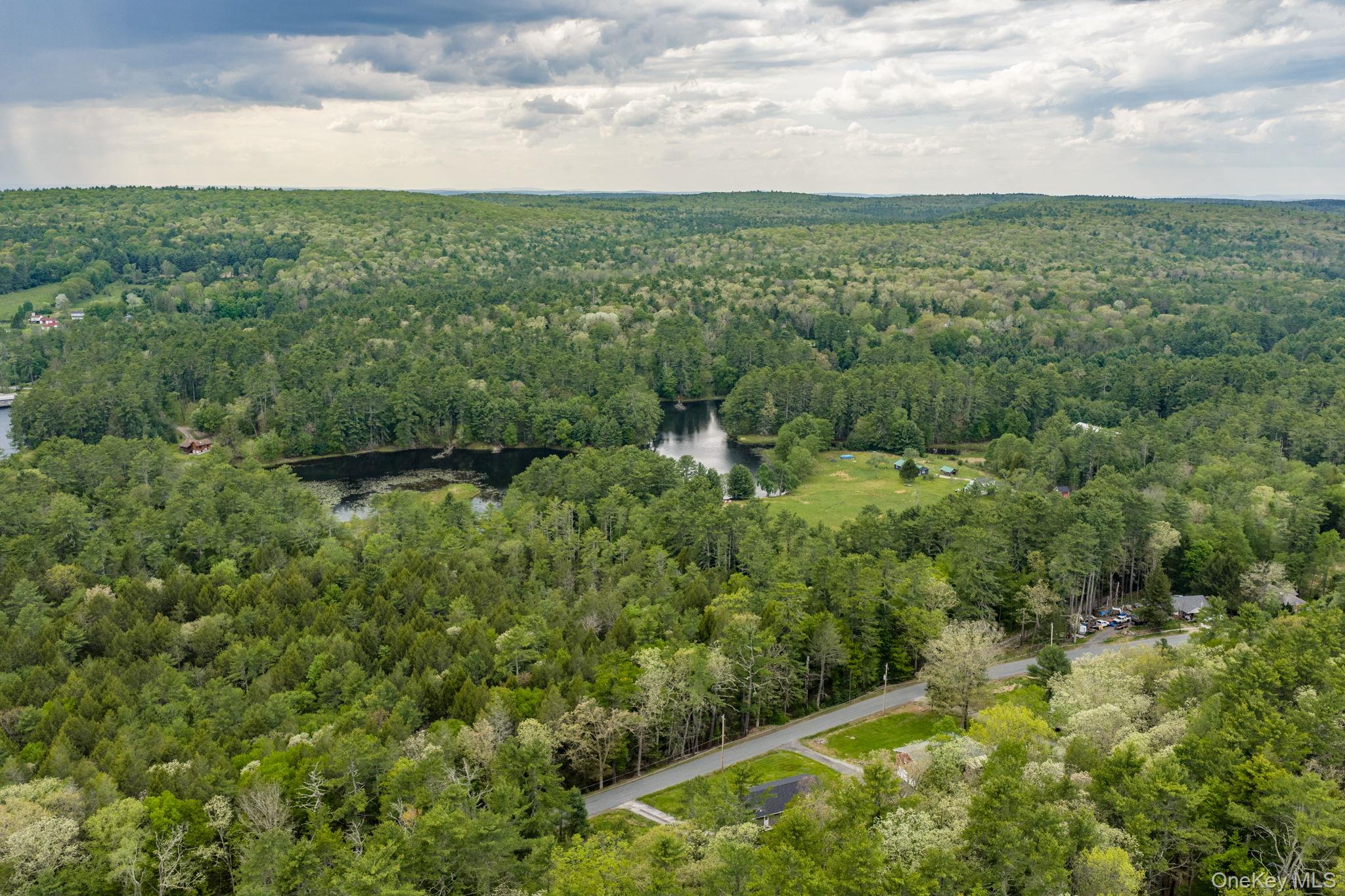 205 Airport Road Yulan, NY 12792 - Photo 20 of 20