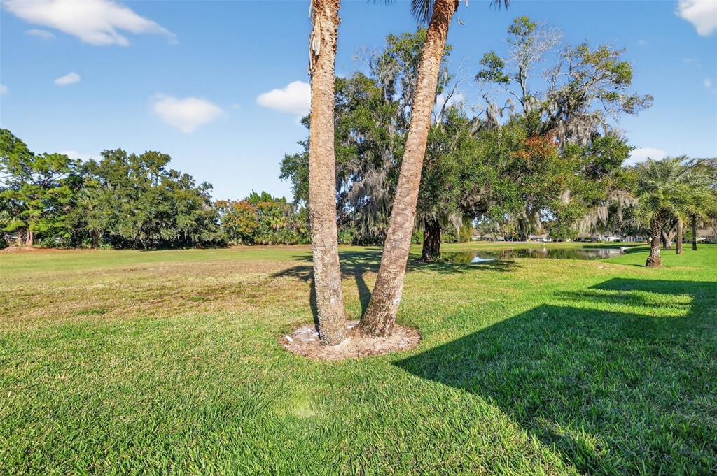 579 Juniper Way Tavares, FL 32778 - Photo 32 of 46 a view of a park with large trees