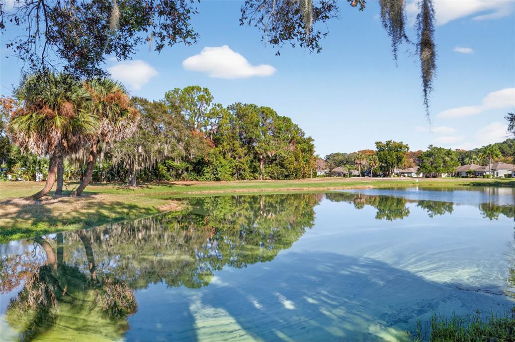 579 Juniper Way Tavares, FL 32778 - Photo 35 of 46