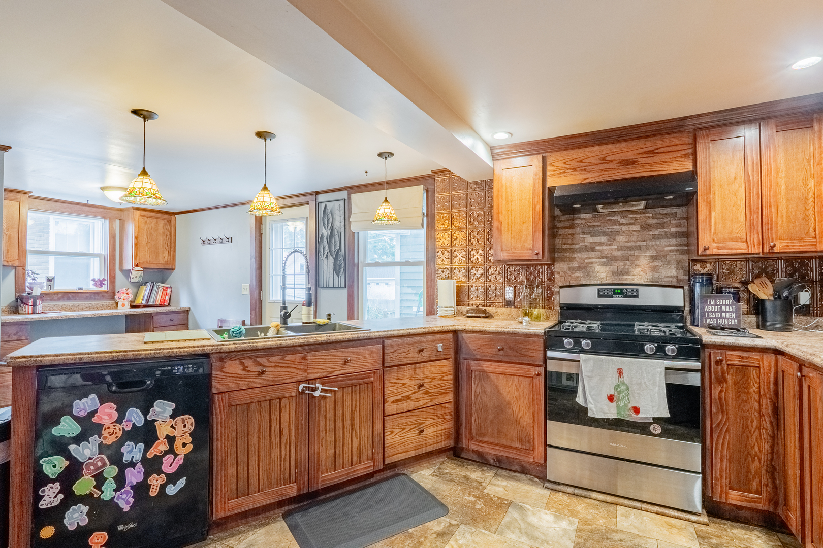 310 South Pleasant Street Princeton, IL 61356 - Photo 7 of 36 a kitchen with stainless steel appliances granite countertop a stove and a sink