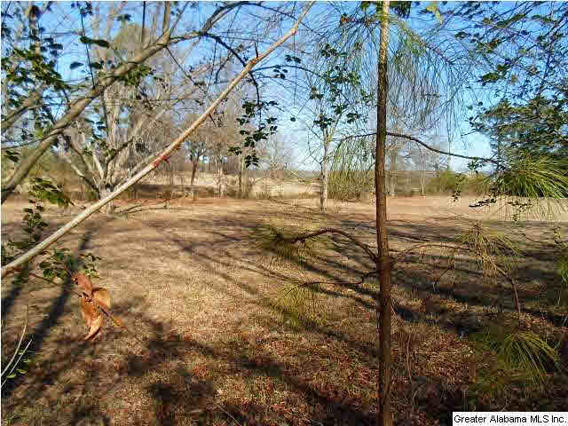 961 Airport Road, Unit 1 Eastaboga, AL 36260 - Photo 3 of 6