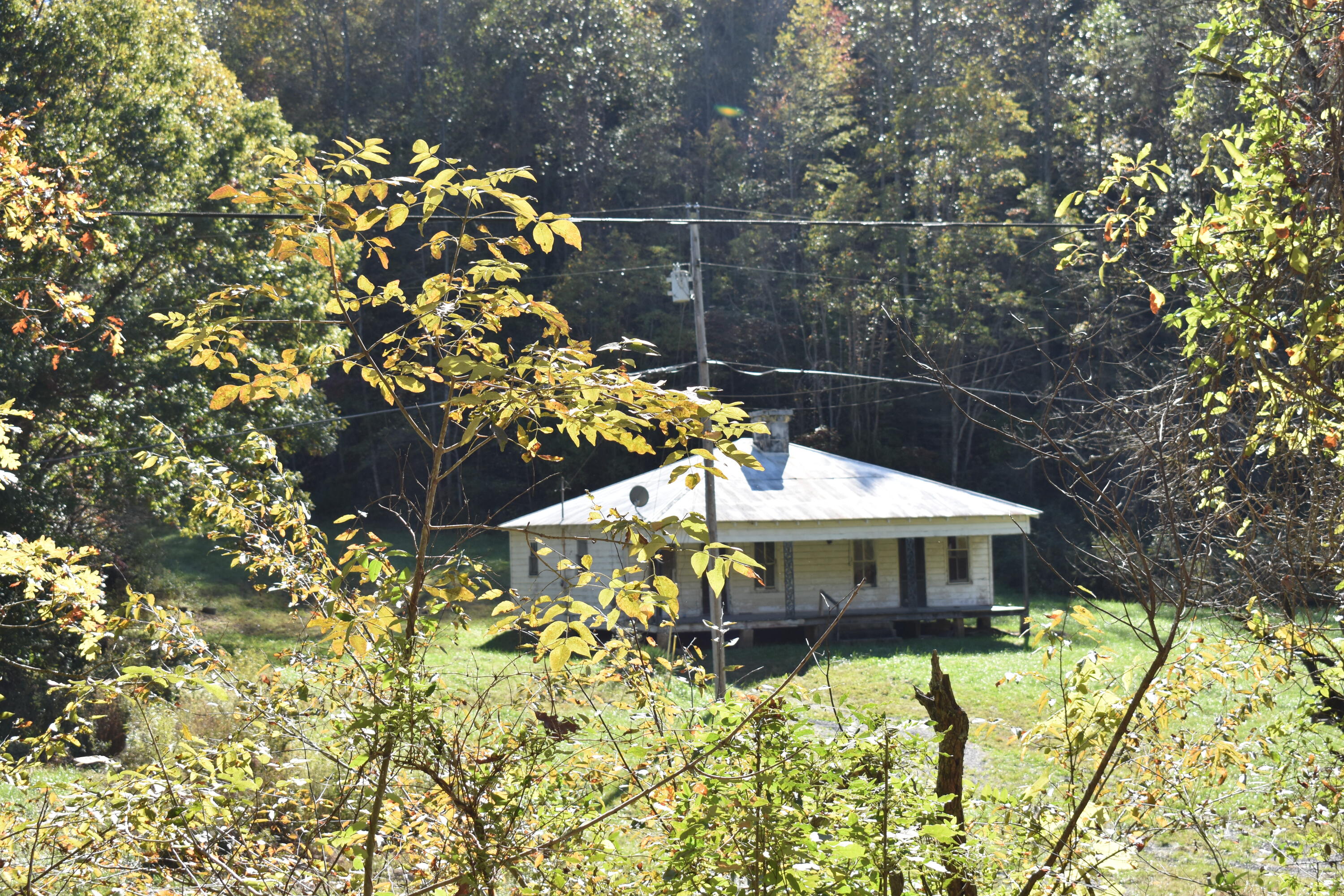 4617 Crane Creek Road Manchester, KY 40962 - Photo 16 of 53 DSC_0535