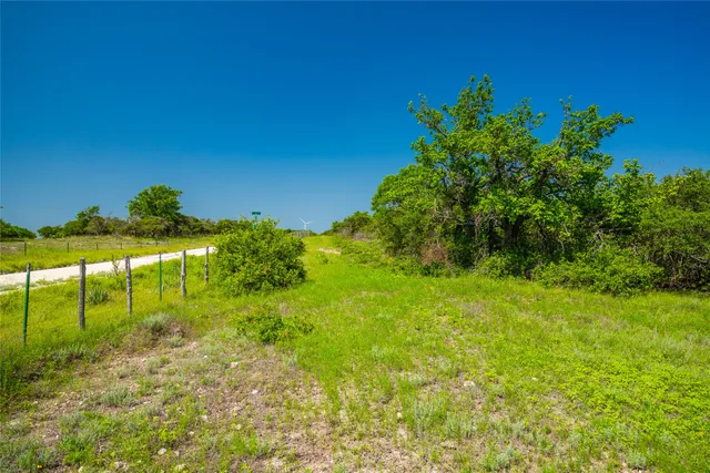 a view of yard with green space and trees