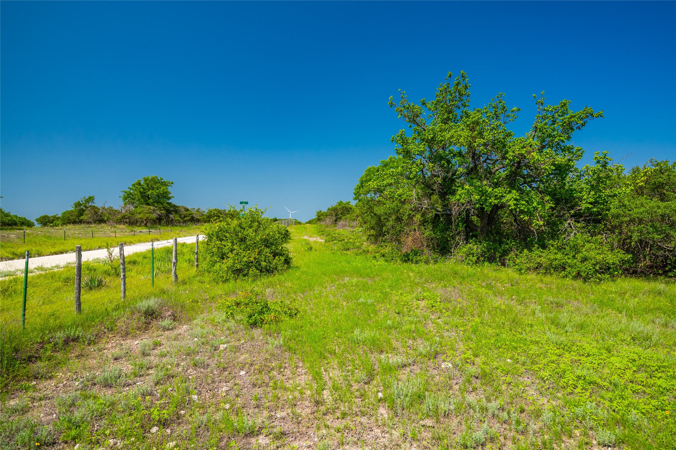 0 County Road 239 Hamilton, TX 76531 - Photo 12 of 17 a view of a garden