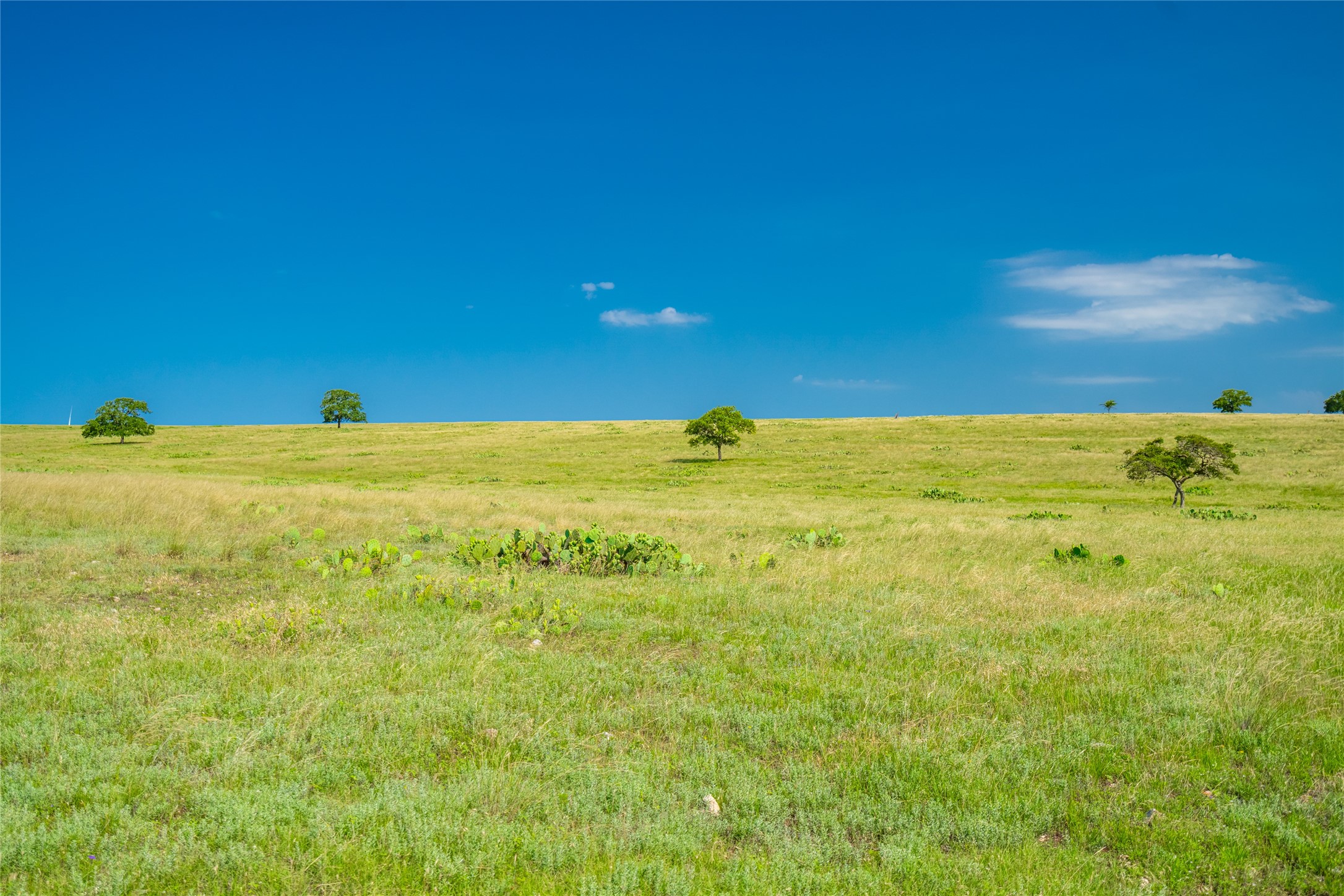 0 County Road 239 Hamilton, TX 76531 - Photo 13 of 17 a view of ocean with a