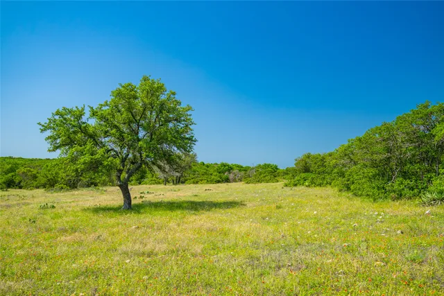 a view of an ocean from a yard