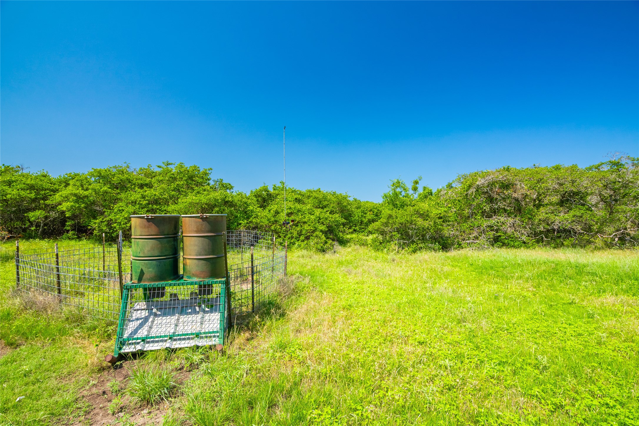 0 County Road 239 Hamilton, TX 76531 - Photo 15 of 17 a garden view