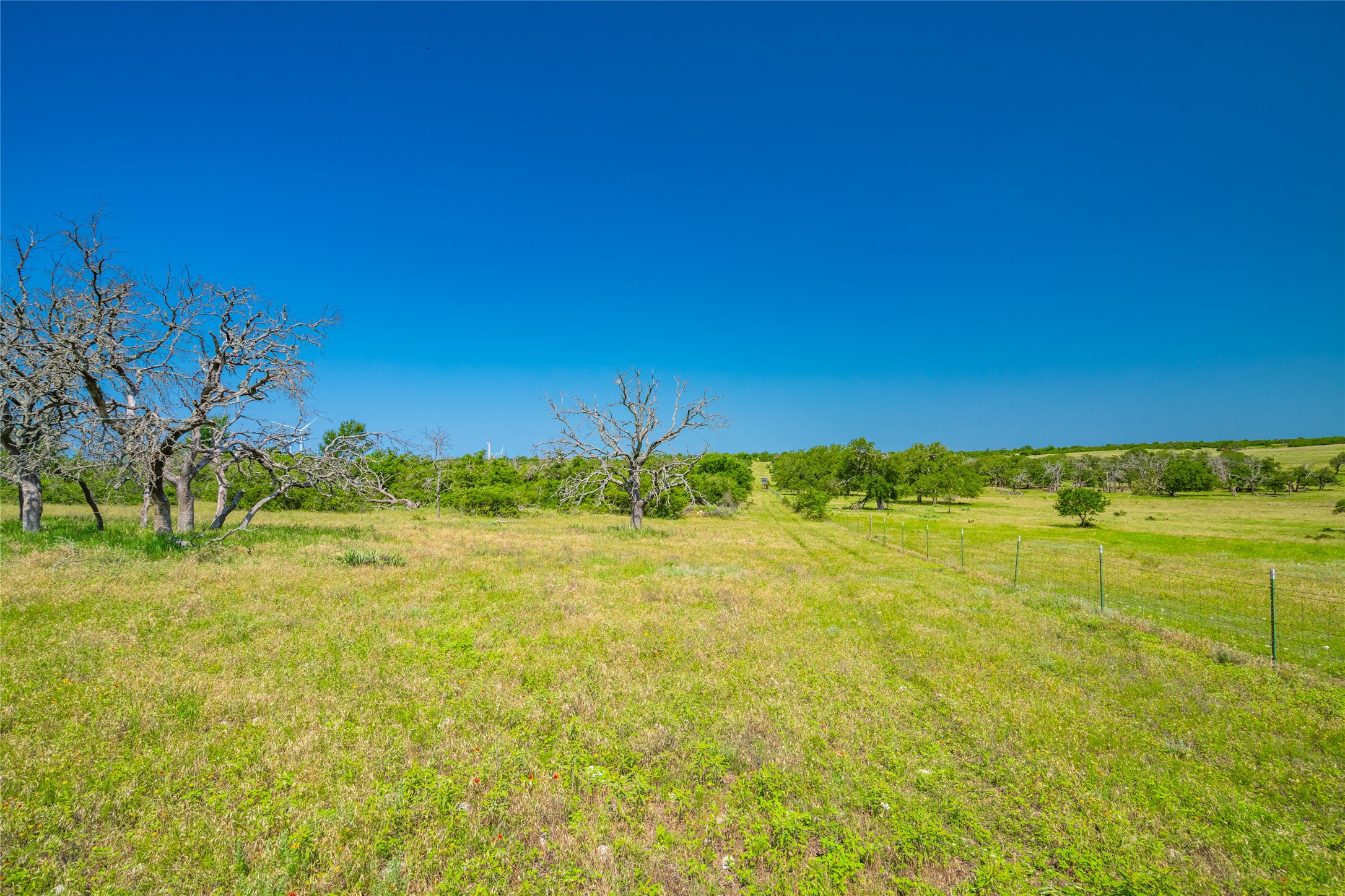 0 County Road 239 Hamilton, TX 76531 - Photo 16 of 17 a view of an ocean from a yard
