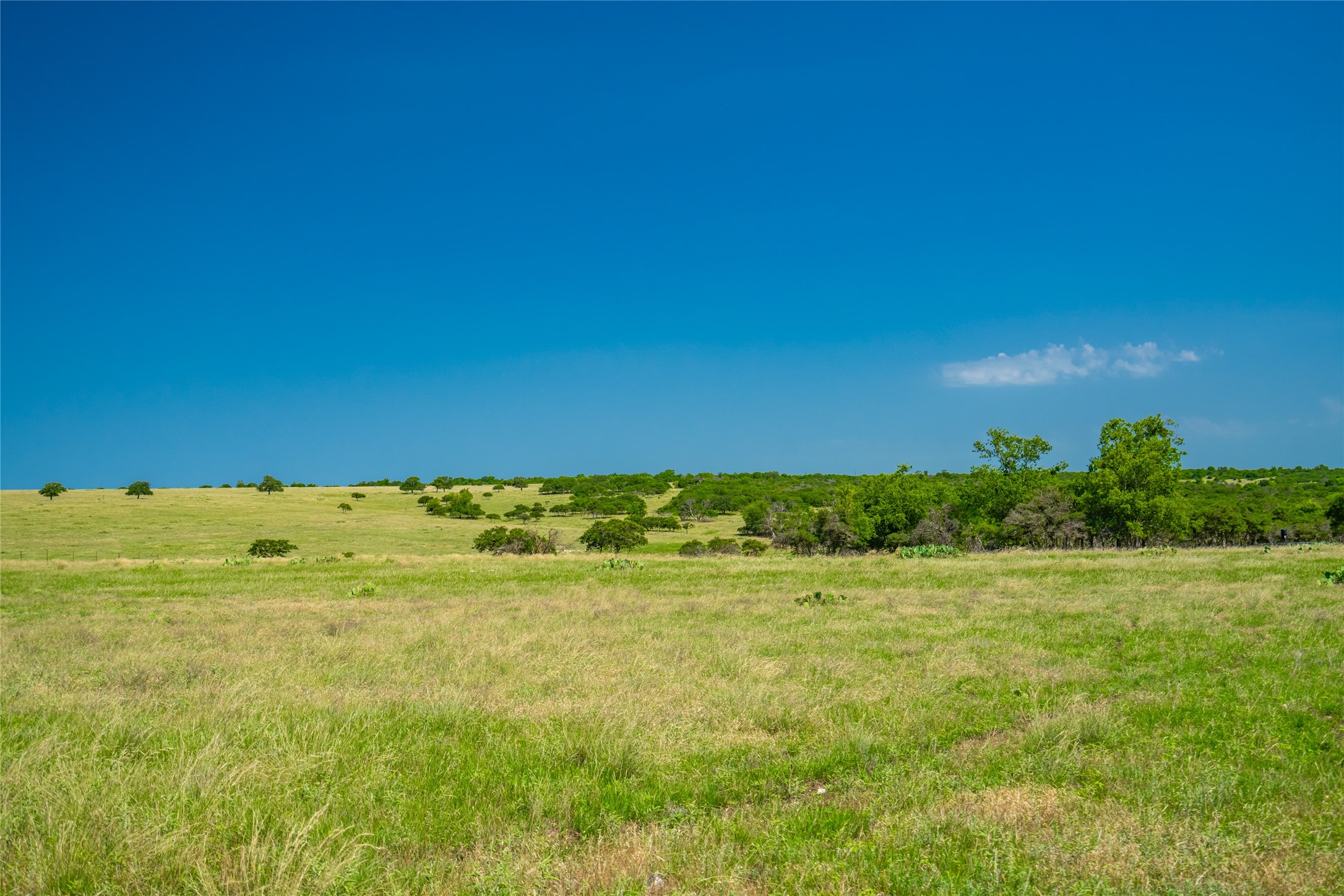 0 County Road 239 Hamilton, TX 76531 - Photo 17 of 17 a view of a field with an ocean
