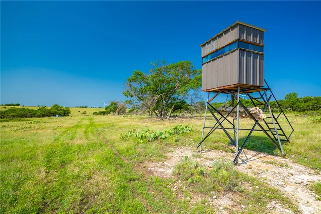 a view of a back yard