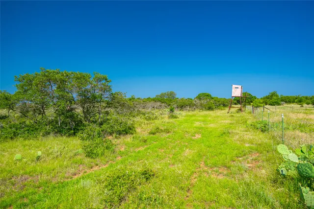 a view of a large body of water with a large tree