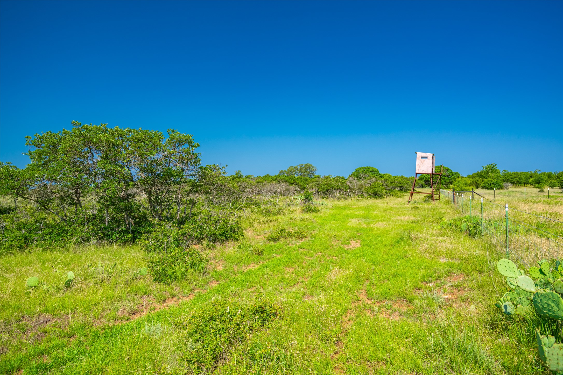 0 County Road 239 Hamilton, TX 76531 - Photo 4 of 17 a view of a large body of water with a large tree