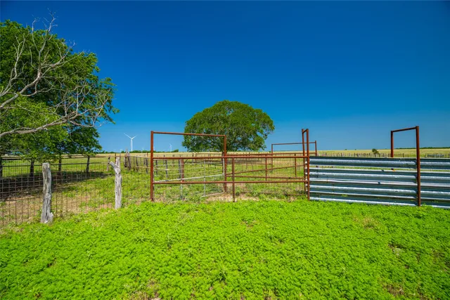 a view of a field with an ocean