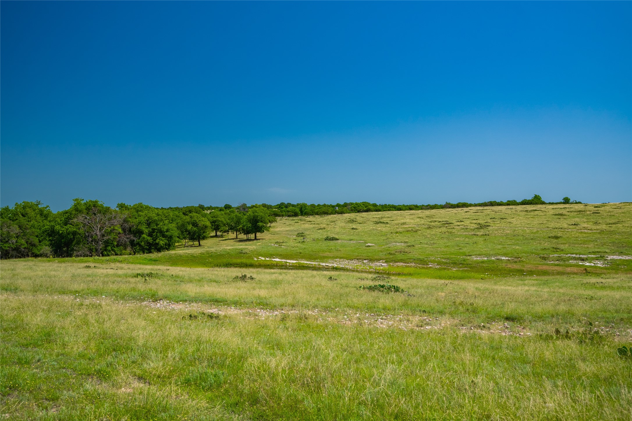 0 County Road 239 Hamilton, TX 76531 - Photo 10 of 17 a view of a field with an ocean