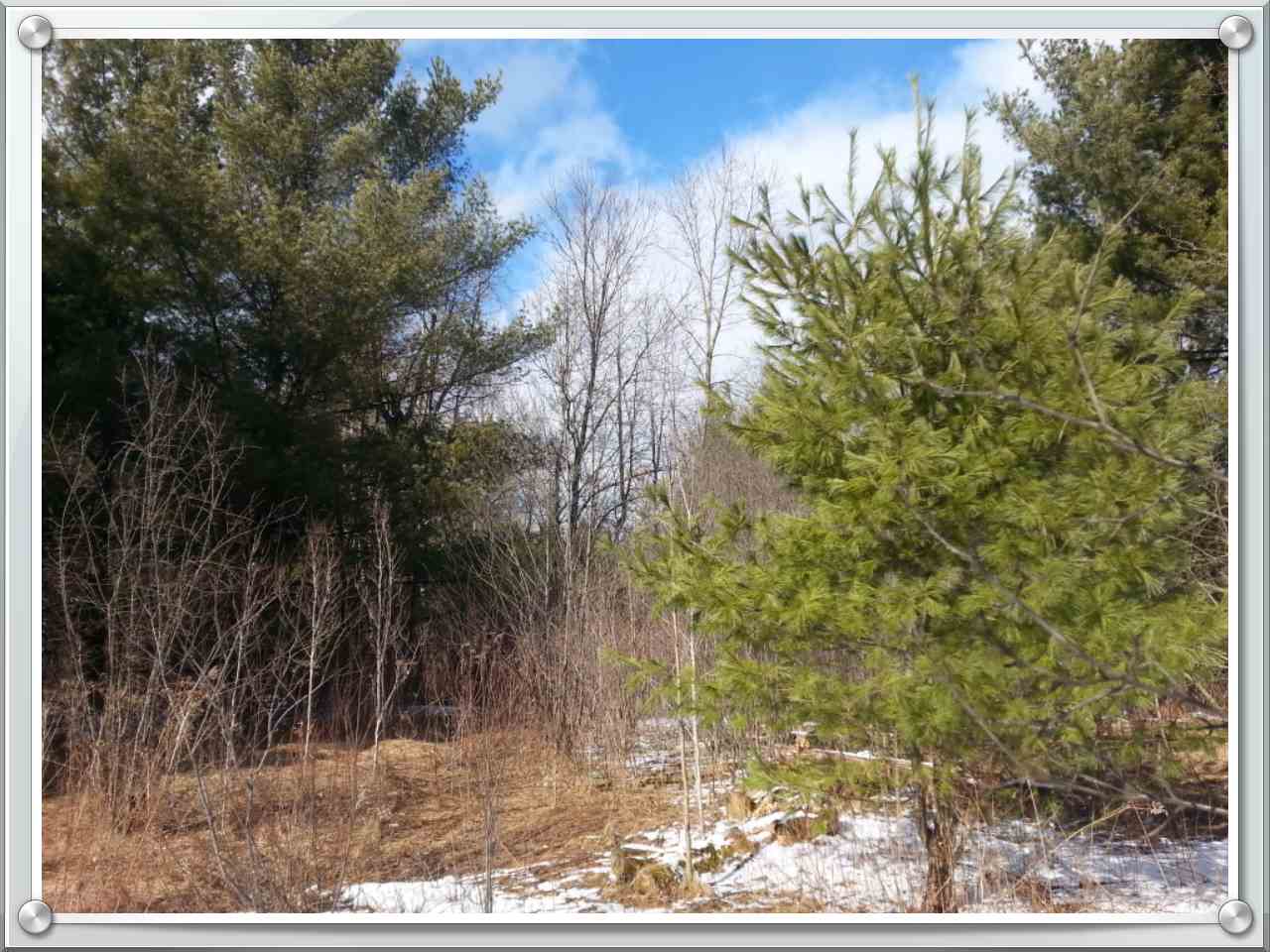 0 Doering Road Merrill, WI 54452 - Photo 1 of 1