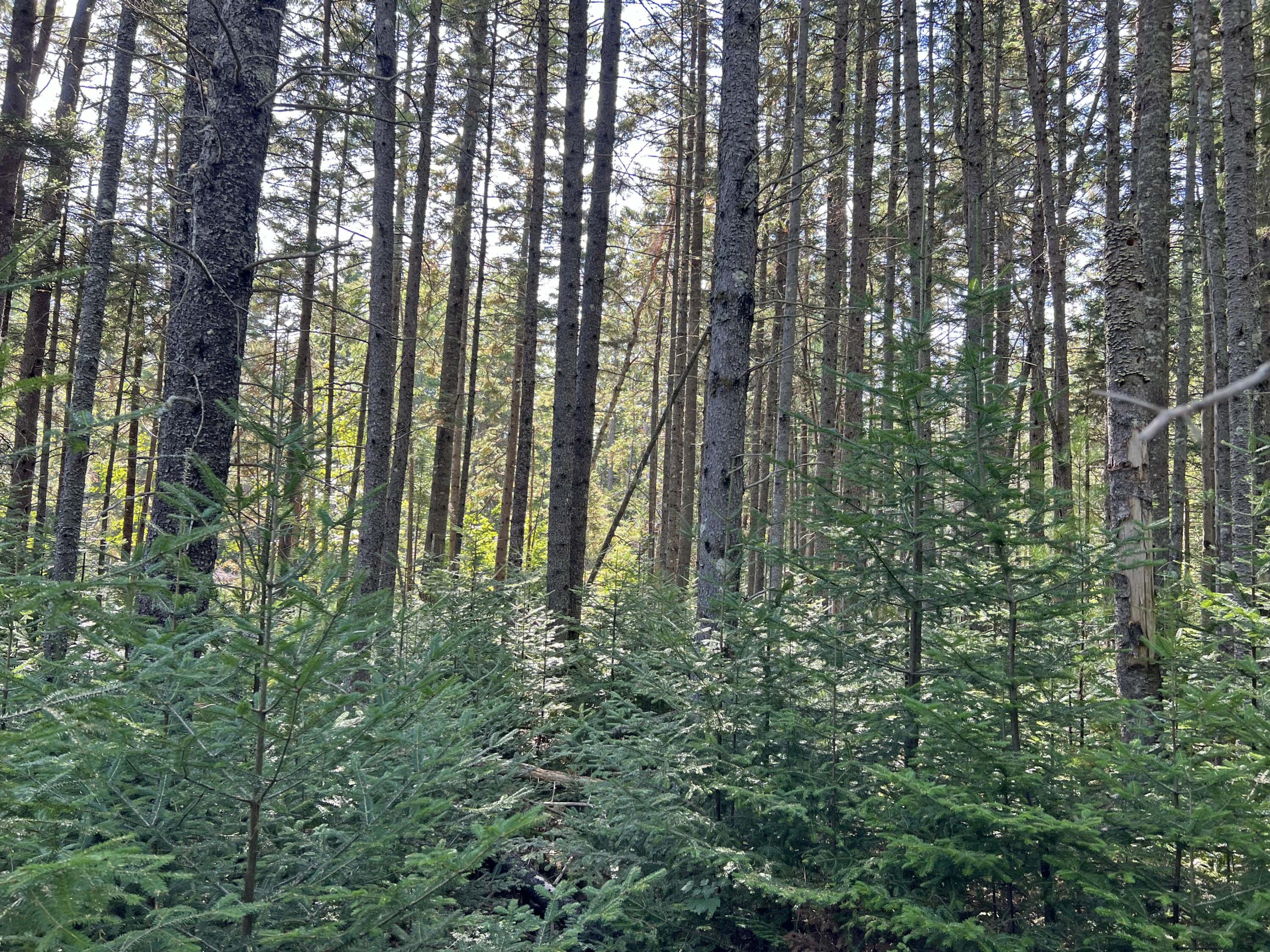 485 Oak Point Road Trenton, ME 04605 - Photo 18 of 22 3d