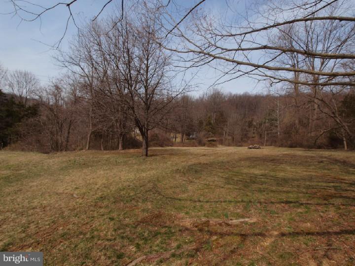 742 Forgedale Road Barto, PA 19504 - Photo 10 of 23 Back Yard