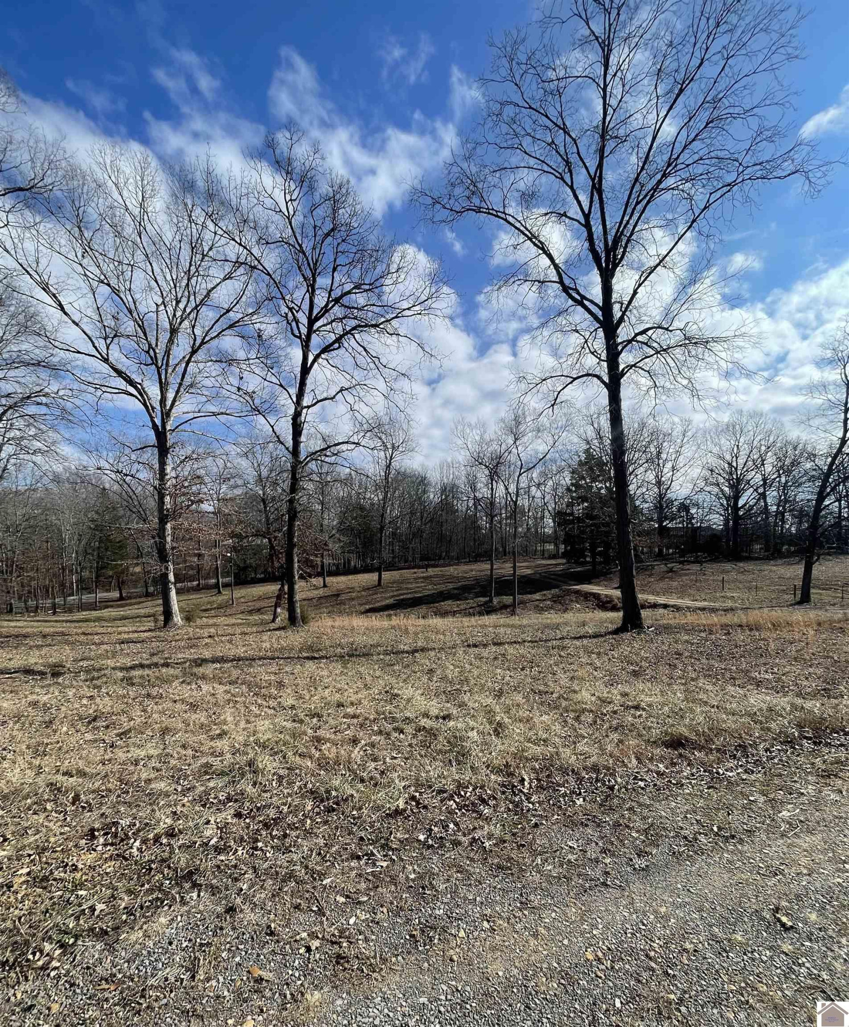 4339 Almo-Shiloh Road Almo, KY 42020 - Photo 2 of 7 Photo 2