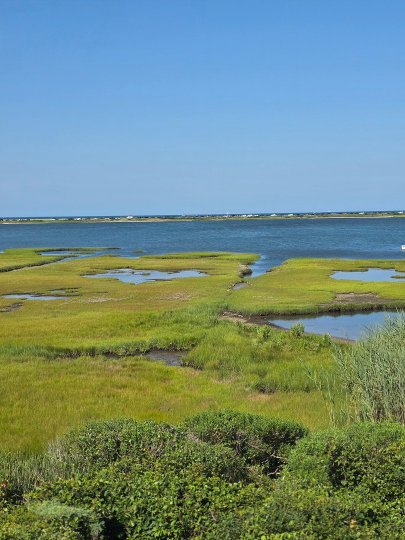 49 The Boulevard Edgartown, MA 02539 - Photo 24 of 49 Gallery Image 24