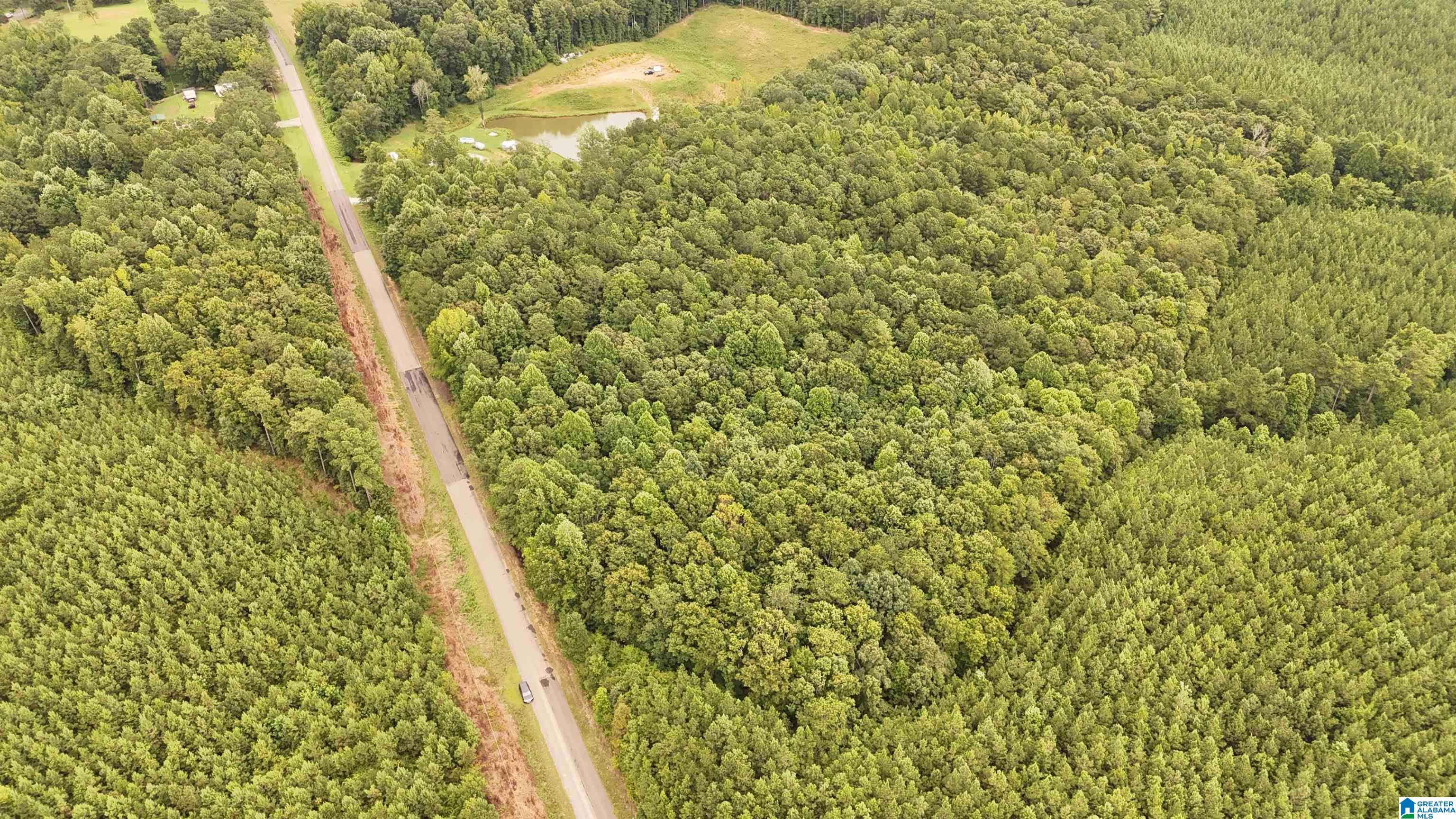 0 County Road 33 Fruithurst, AL 36262 - Photo 1 of 4