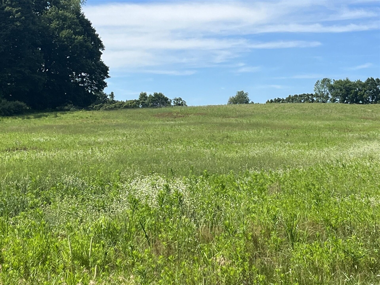 Par A North Backus Road Stanton, MI 48888 - Photo 4 of 16