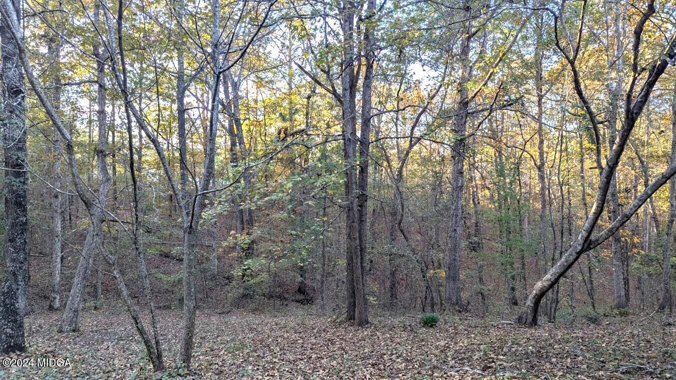 3091 Tribble Road Fort Valley, GA 31030 - Photo 7 of 7 a view of a forest filled with trees