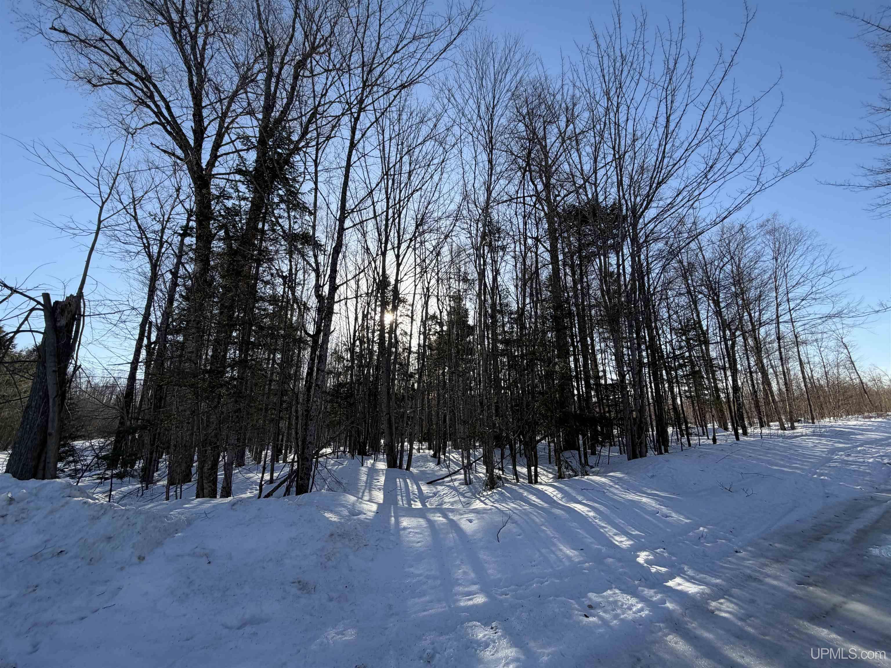 56-acres Halverson Road Skandia, MI 49885 - Photo 12 of 16